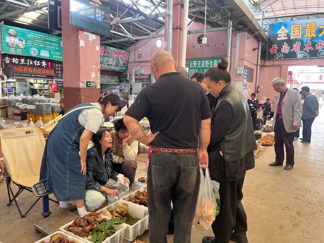2800-3000元/公斤！木水花市场干巴菌上市
