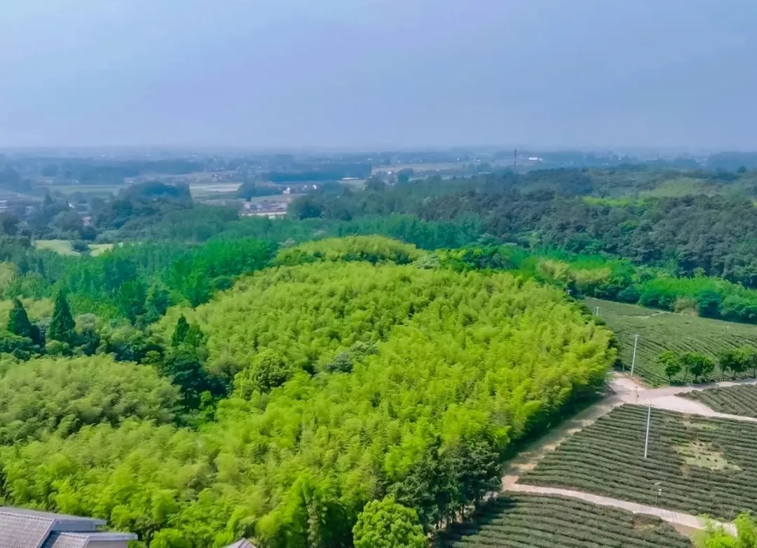 33°C！南京已经入夏了？