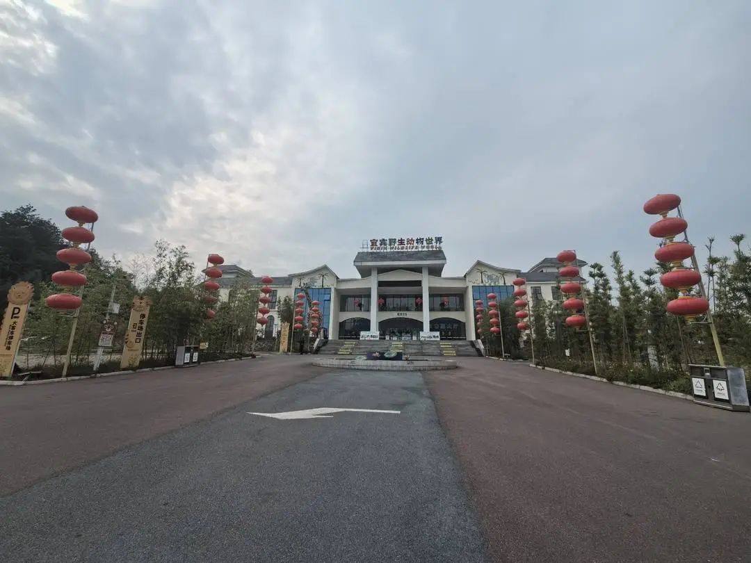 动物园绑住幼虎嘴和爪让游客合影？官方回应
