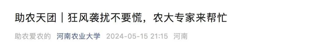 麦田被大风吹倒要不要扶？网友在线求助，高校发文→