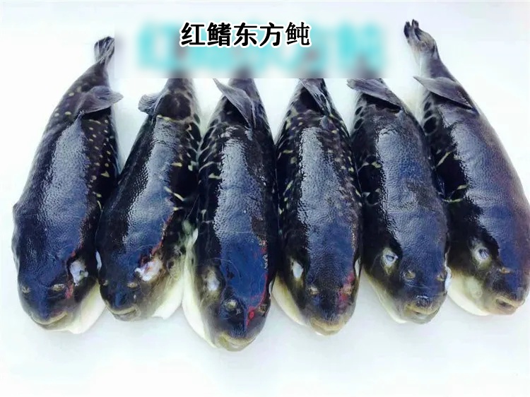 近期高发！0.5毫克可致命，无特效药！很多广东人爱吃→