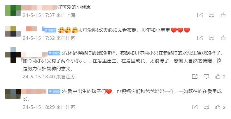 熊大熊二：在线征“名”，挺急的