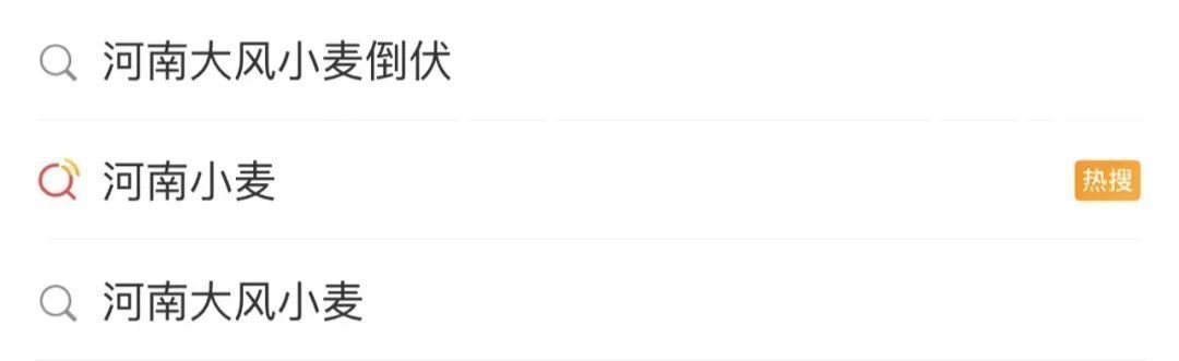 河南部分麦田被大风吹倒?网友在线求助,高校发文 河南部分麦田被大风吹倒?网友在线求助,高校发文