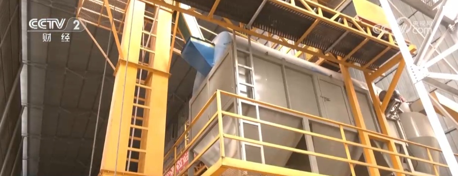 麦粒渐满，丰收在望！夏粮生产形势好 收购准备就绪 端稳饭碗底气足