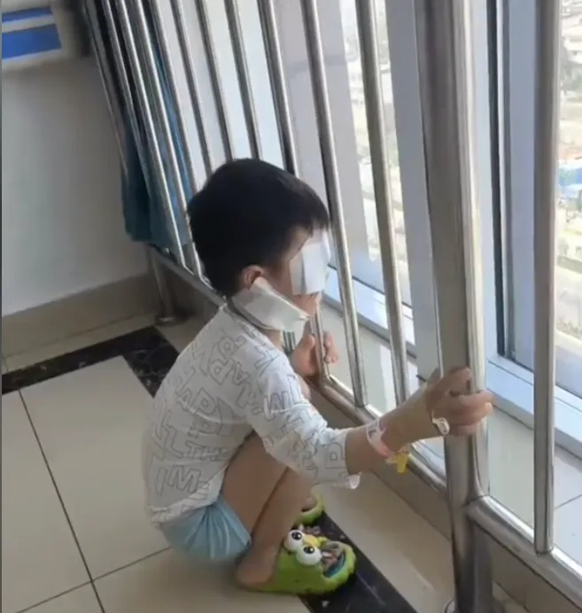 警方提级调查!3岁男童被狗咬伤打了疫苗仍离世,最新进展→ 警方提级调查!3岁男童被狗咬伤打了疫苗仍离世,最新进展→