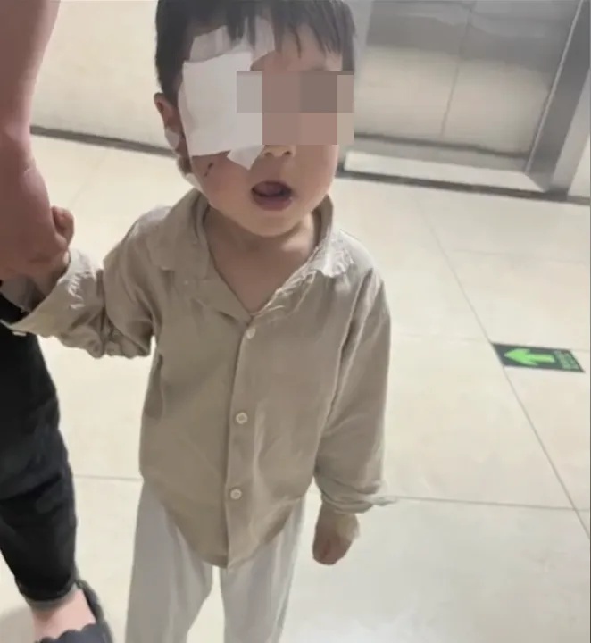 警方提级调查!3岁男童被狗咬伤打了疫苗仍离世,最新进展→ 警方提级调查!3岁男童被狗咬伤打了疫苗仍离世,最新进展→