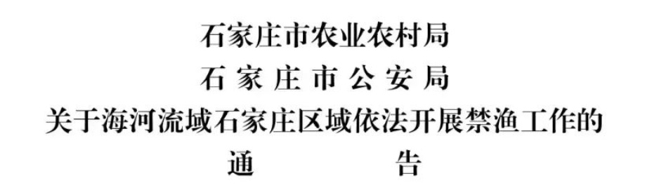 严查严处！今起，河北多地全面禁渔