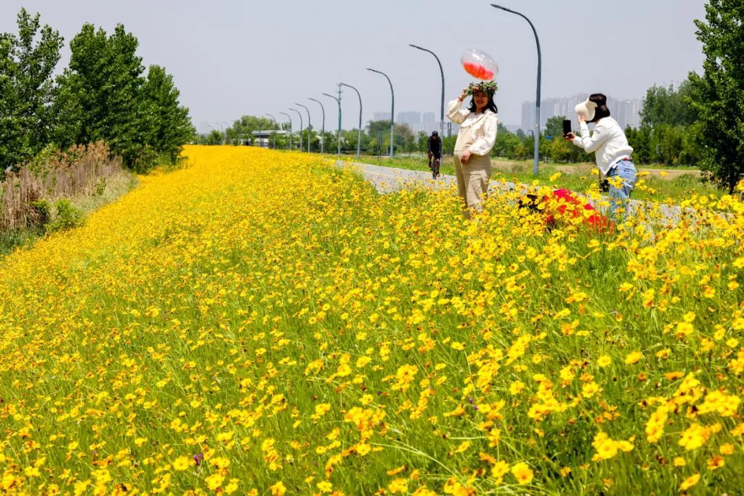 33°C！南京已经入夏了？