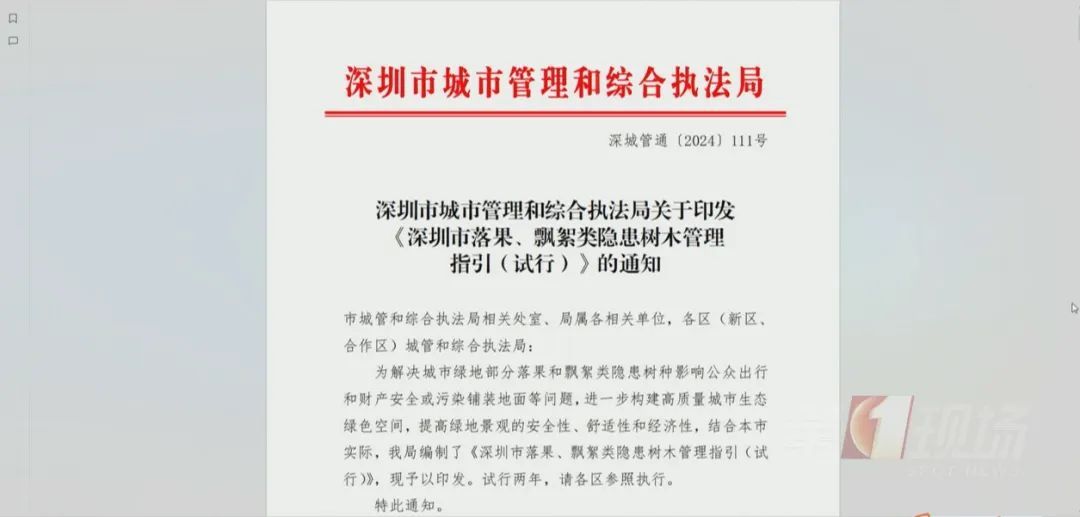 深圳“飘雪”=“会呼吸的痛” ？别担心，公园来帮你清理