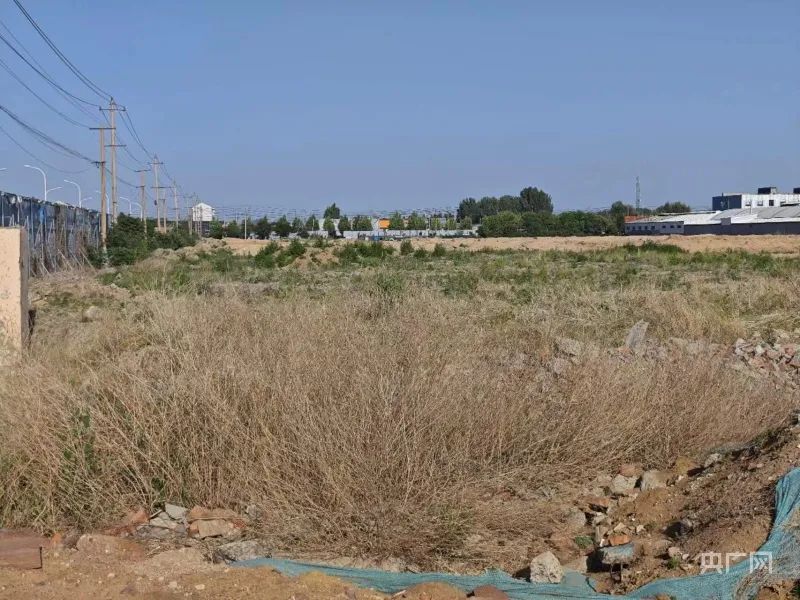 山东淄博一村集体3000多万征地补偿款悄然被“理财”