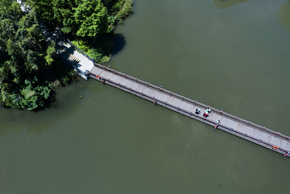 美丽中国｜夏花烂漫 水草丰茂——白塔湖国家湿地公园的初夏