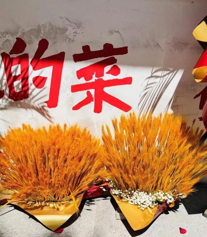 “看哭了”，老人垃圾桶捡食剩菜，餐馆老板送上热饭......