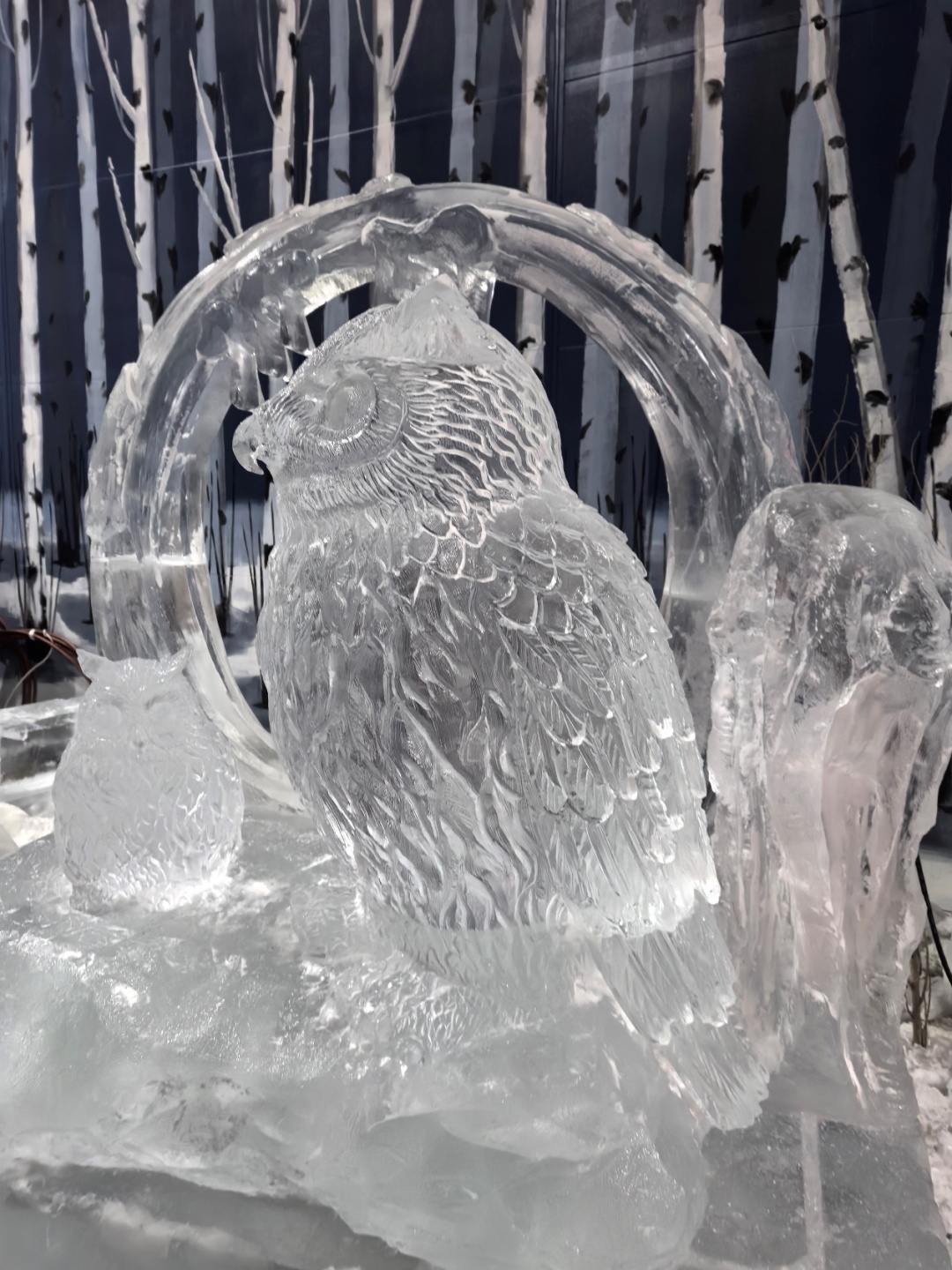 哈尔滨冰雪大世界梦幻冰雪馆冰建完成60% 6月竣工迎客