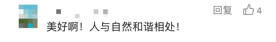 红耳bēi飞到宿舍筑巢，网友：天上掉论文啦！