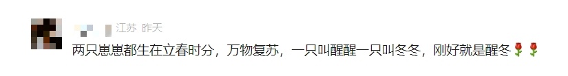 熊大熊二：在线征“名”，挺急的