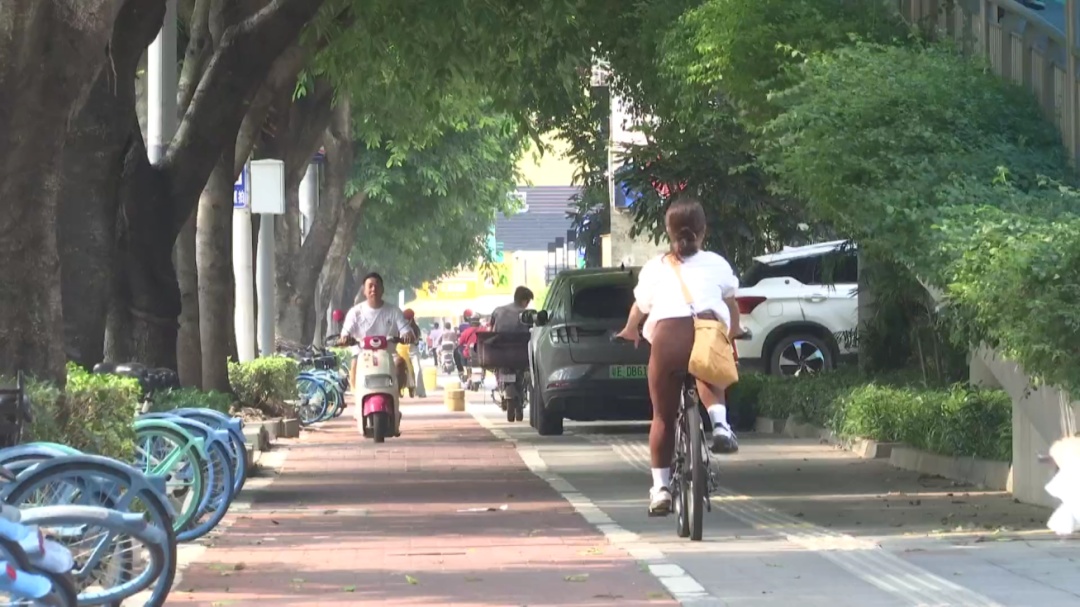 近段时间，佛山人出门都是“肉松小贝”，每个人的身上都有毛毛？街坊：为何要选TA！