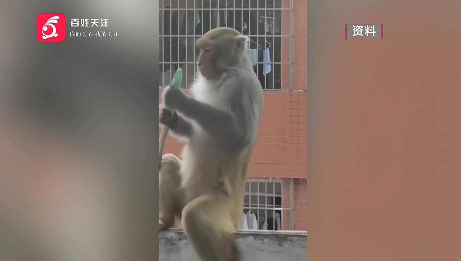 女生寝室闯入“不速之客”,把女孩们吓得花容失色,还厚着脸皮蹭吃蹭喝...... 女生寝室闯入“不速之客”,把女孩们吓得花容失色,还厚着脸皮蹭吃蹭喝......