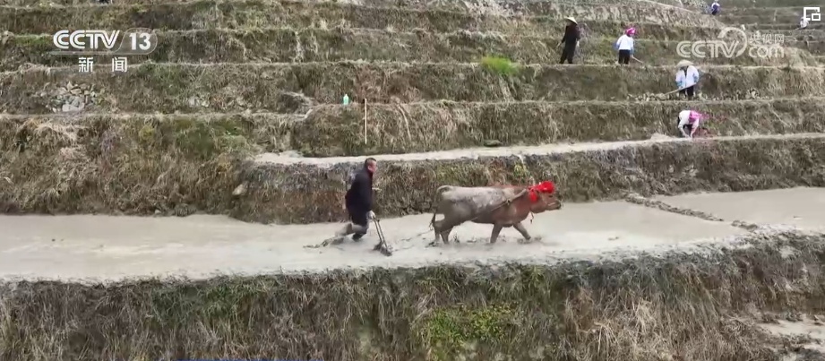 美丽“小乡村”旅游“大市场” 村庄成为主客共享文旅融合新空间