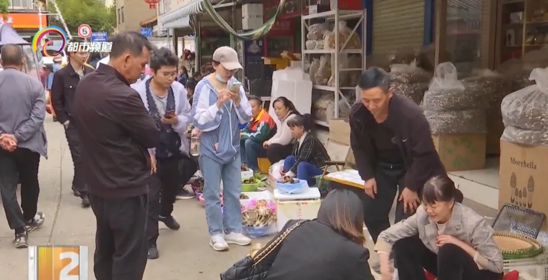 上市1吨以上!价格还会降!云南人看到都笑了…… 上市1吨以上!价格还会降!云南人看到都笑了……