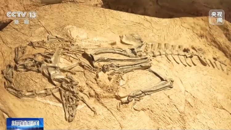 3D扫描、沉浸影像 国际博物馆日打卡清单请查收