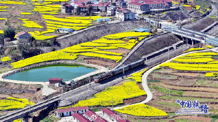 只有两节车厢的火车，到底有多可爱！