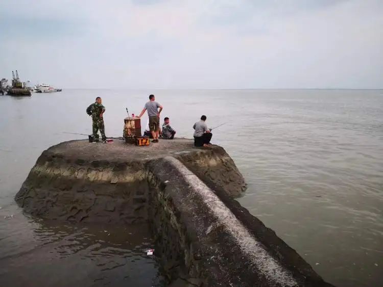 魔都夜晚,他们又开始“趁黑出动” 魔都夜晚,他们又开始“趁黑出动”