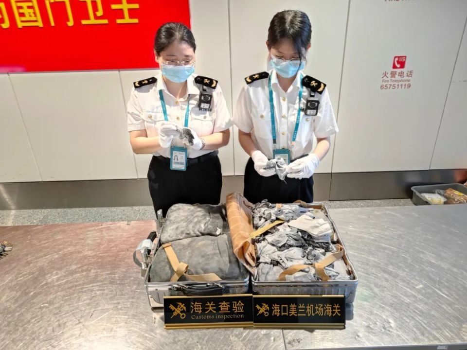 一箱旧手套被查？海关：上面残留金粉、银粉，重18千克，属洋垃圾