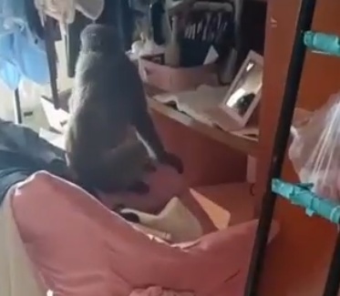 女生寝室闯入“不速之客”,把女孩们吓得花容失色,还厚着脸皮蹭吃蹭喝...... 女生寝室闯入“不速之客”,把女孩们吓得花容失色,还厚着脸皮蹭吃蹭喝......