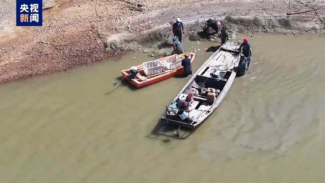 污水直排、剥皮毁林、非法采砂……中央生态环保督察通报七地典型案例