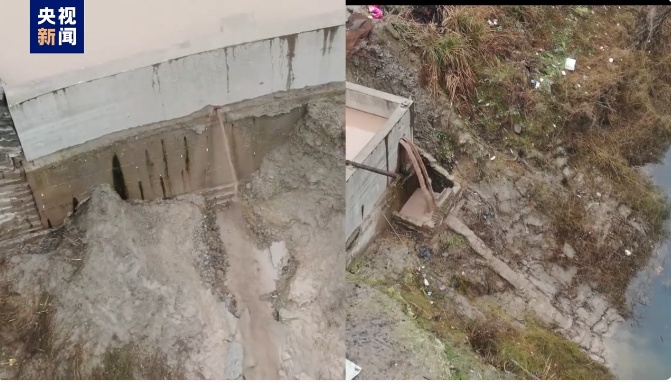 江豚惨死,剥皮毁林,这份通报触目惊心! 江豚惨死,剥皮毁林,这份通报触目惊心!