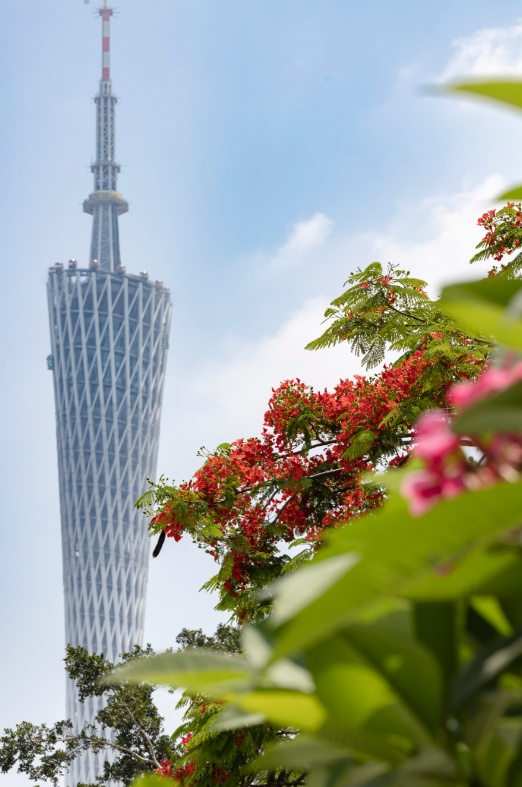 抓紧洗晒!龙舟水即将上线,本周末广东将迎新一轮雷雨大风和冰雹 抓紧洗晒!龙舟水即将上线,本周末广东将迎新一轮雷雨大风和冰雹