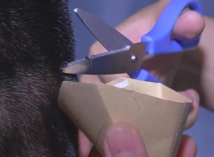 三人拒不承认吸毒！警方从他们身上剪了一撮毛发，结果……
