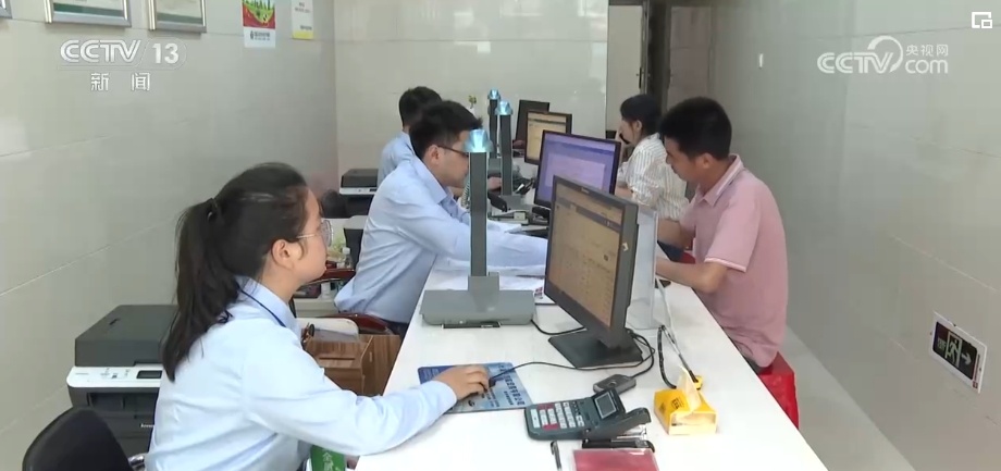 荒山变青山、森林变粮库 林下“掘金”成百姓增收致富“聚宝盆” 荒山变青山、森林变粮库 林下“掘金”成百姓增收致富“聚宝盆”