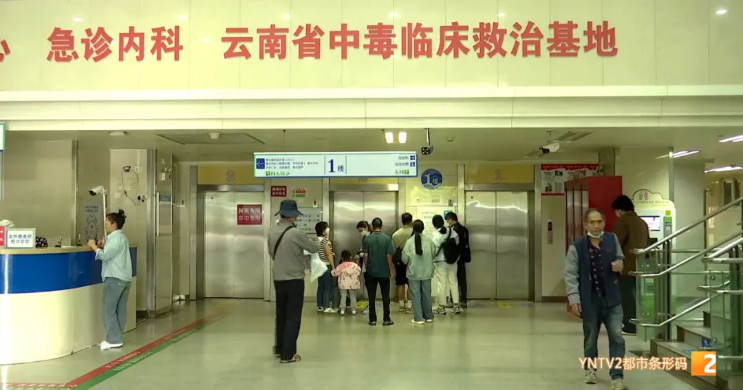 警惕!头水菌上市没多久,已有多人中毒! 警惕!头水菌上市没多久,已有多人中毒!