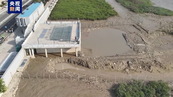 江豚惨死,剥皮毁林,这份通报触目惊心! 江豚惨死,剥皮毁林,这份通报触目惊心!