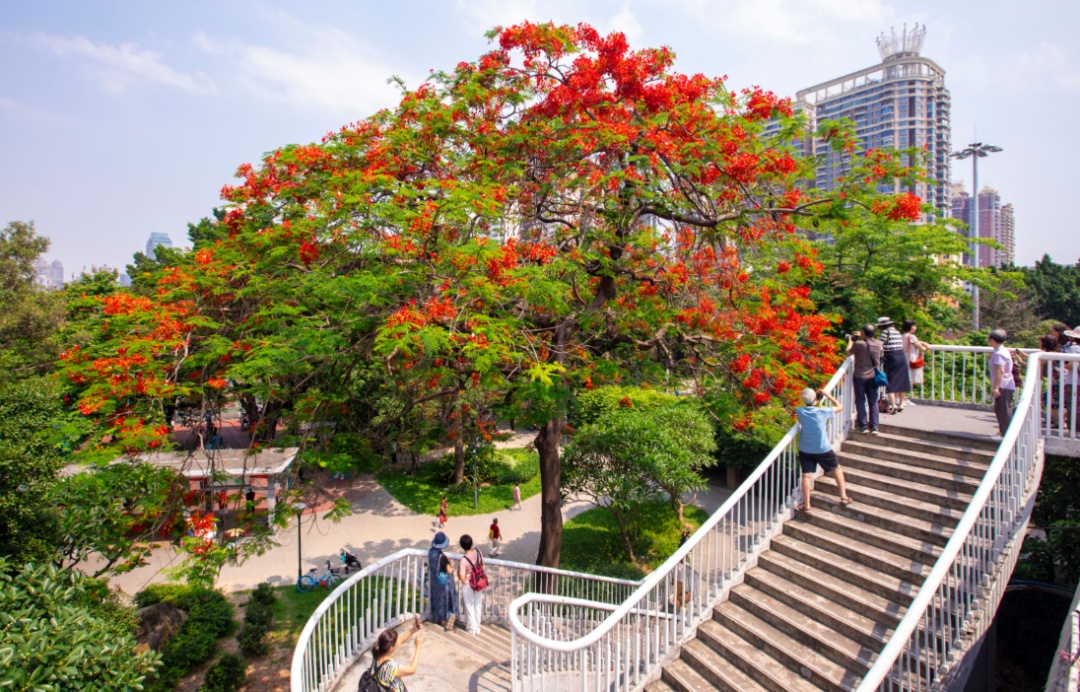 抓紧洗晒!龙舟水即将上线,本周末广东将迎新一轮雷雨大风和冰雹 抓紧洗晒!龙舟水即将上线,本周末广东将迎新一轮雷雨大风和冰雹