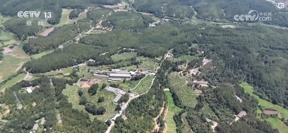 荒山变青山、森林变粮库 林下“掘金”成百姓增收致富“聚宝盆” 荒山变青山、森林变粮库 林下“掘金”成百姓增收致富“聚宝盆”