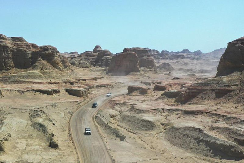 从这三种车，看流动中国的活力