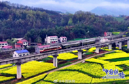 只有两节车厢的火车，到底有多可爱！