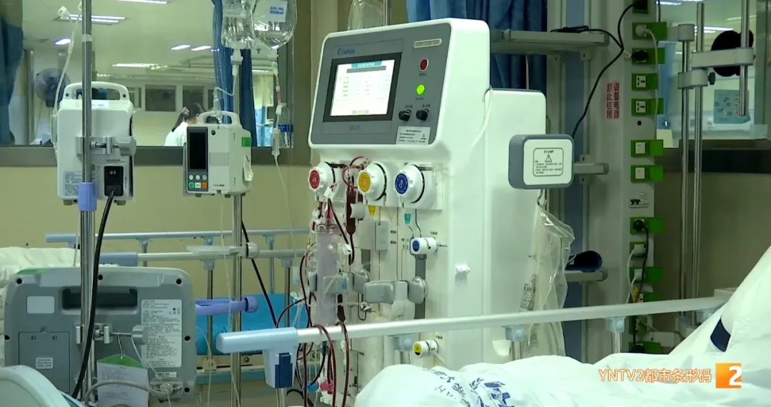 警惕!头水菌上市没多久,已有多人中毒! 警惕!头水菌上市没多久,已有多人中毒!