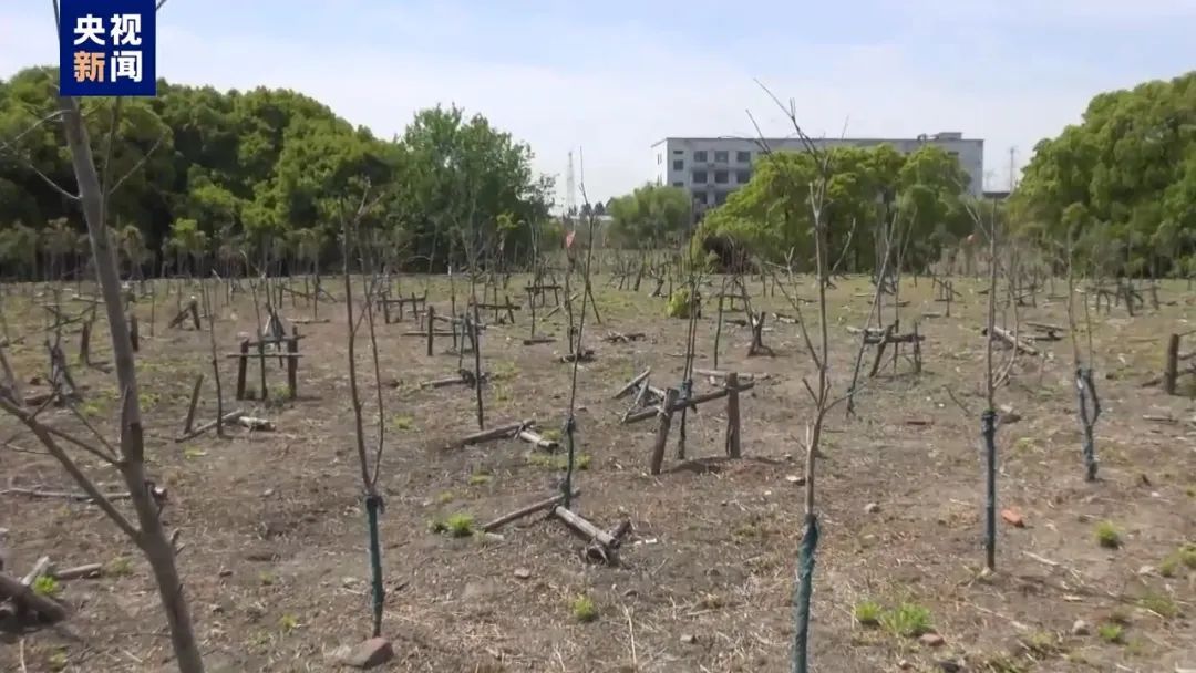 污水直排、剥皮毁林、非法采砂……中央生态环保督察通报七地典型案例