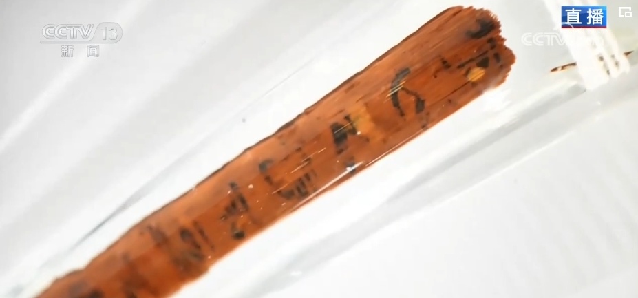 “零距离”看文物感受古人智慧 古韵与新潮“碰撞”彰显民族文化魅力