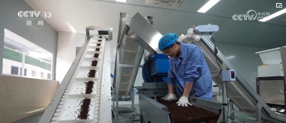 荒山变青山、森林变粮库 林下“掘金”成百姓增收致富“聚宝盆” 荒山变青山、森林变粮库 林下“掘金”成百姓增收致富“聚宝盆”