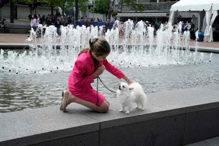 Why do you need your pet so much?