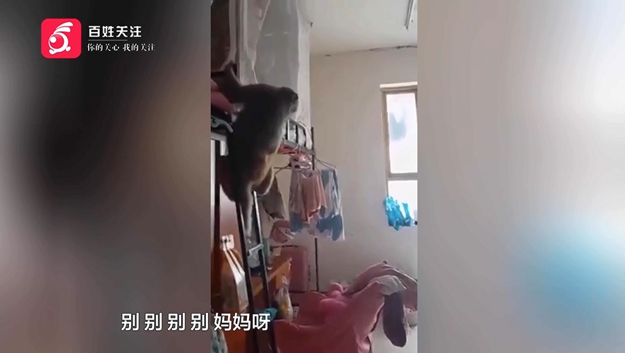 女生寝室闯入“不速之客”,把女孩们吓得花容失色,还厚着脸皮蹭吃蹭喝...... 女生寝室闯入“不速之客”,把女孩们吓得花容失色,还厚着脸皮蹭吃蹭喝......