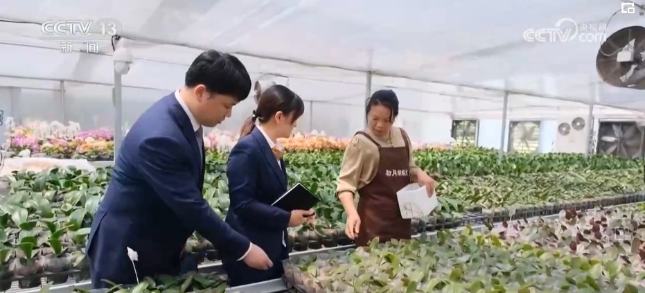 金融活水助力绿色产业蓬勃发展 “高碳”转型“低碳”擦亮“绿色中国”底色