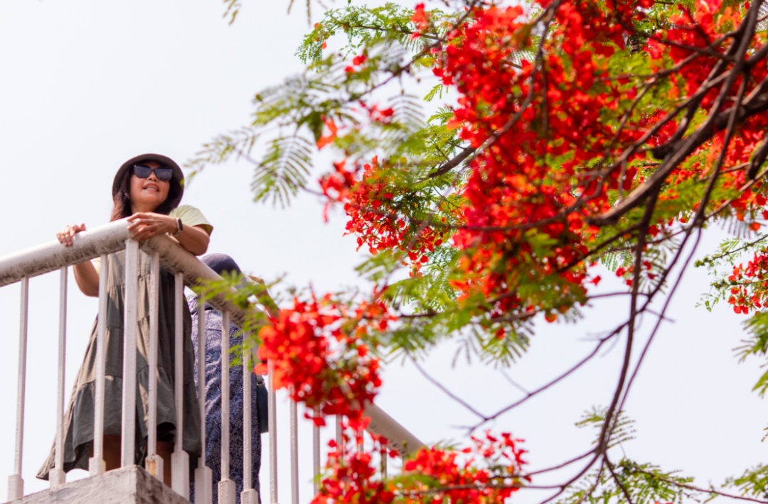 抓紧洗晒!龙舟水即将上线,本周末广东将迎新一轮雷雨大风和冰雹 抓紧洗晒!龙舟水即将上线,本周末广东将迎新一轮雷雨大风和冰雹