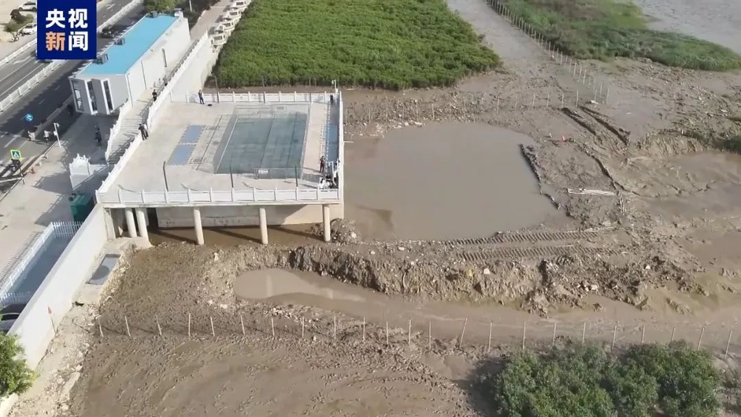 污水直排、剥皮毁林、非法采砂……中央生态环保督察通报七地典型案例