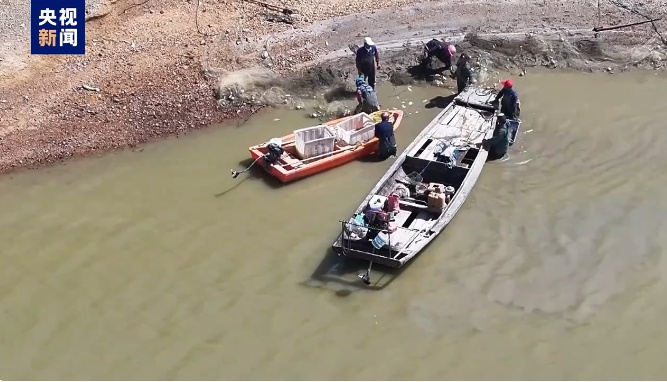 江豚惨死,剥皮毁林,这份通报触目惊心! 江豚惨死,剥皮毁林,这份通报触目惊心!