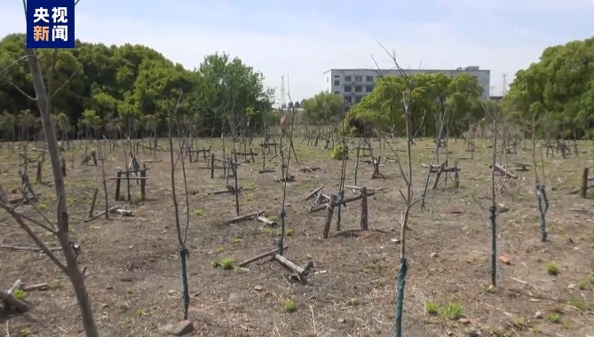 江豚惨死,剥皮毁林,这份通报触目惊心! 江豚惨死,剥皮毁林,这份通报触目惊心!